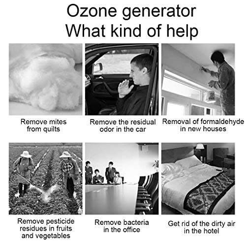 Generador comercial de ozono de aire de 1000 mg / h para el hogar, purificador de aire de 110 V / 220 V, purificador de aire para el hogar, esterilizador para la eliminación de olores en habitacione