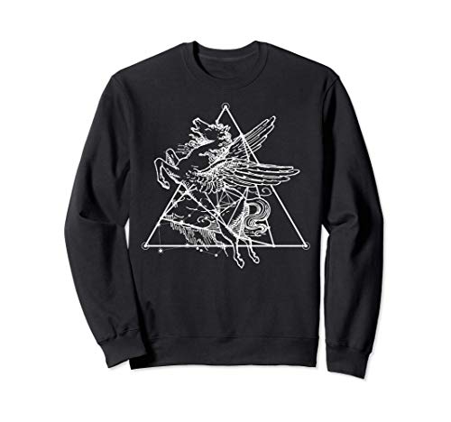 Geometria Sagrada - Triángulos Equiláteros Pegaso Sudadera