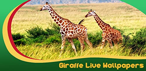 Giraffe Fondos en Vivo