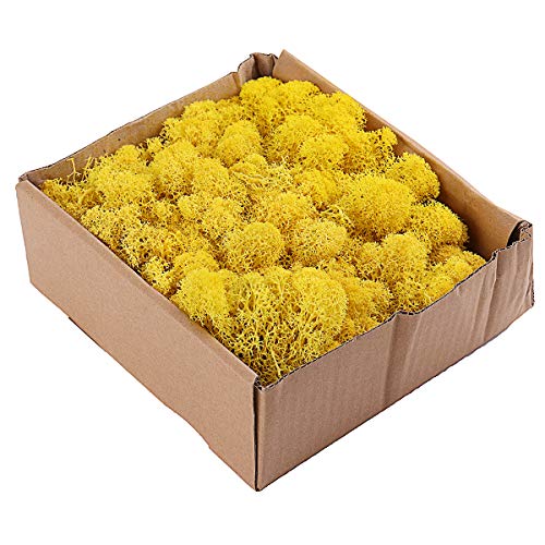 Global Brands Online 200g Natural Noruego Reno Musgo preservado Artesanã­a Decoraciones de Flores secas