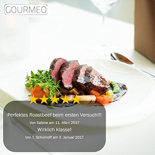 GOURMEO termómetro 2-en-1 (temperatura del horno y carne) de acero - termómetro de asados, termómetro de grill y parrilla, termómetro de horno