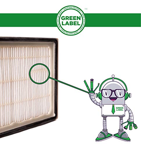 Green Label Filtro HEPA para Aspiradora Bosch y Siemens. Reemplaza a 263506, BBZ8SF1