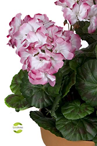 GreenBrokers - Geranios Artificiales en Maceta de Color Terracota (45 cm), Color Rosa y Blanco