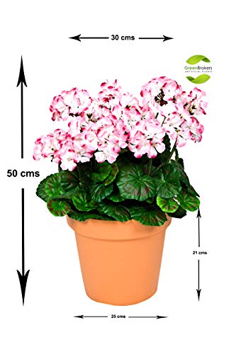 GreenBrokers - Geranios Artificiales en Maceta de Color Terracota (45 cm), Color Rosa y Blanco