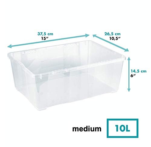 Grizzly 3 x Caja de Almacenaje con Tapa de 10 L - Cajón de Plástico Transparente Apilable - Caja Multiusos Organizador de Armarios para Ordenación de Ropa