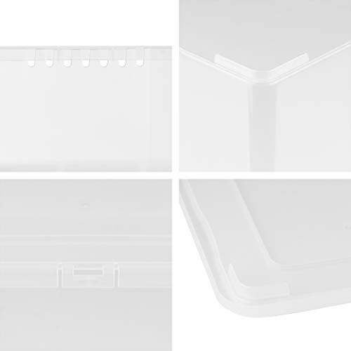 Grizzly 3 x Caja de Almacenaje con Tapa de 10 L - Cajón de Plástico Transparente Apilable - Caja Multiusos Organizador de Armarios para Ordenación de Ropa