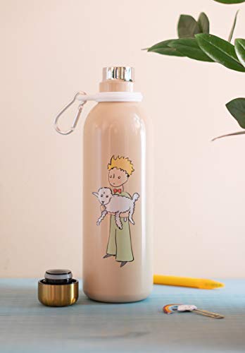 Grupo Erik Acier Inoxydable et Sans BPA Botella de Agua Acero Inoxidable con mosquetón El Principito, 500 ml