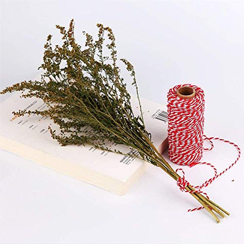 Gukasxi 300M Christmas Twine String, Craft String Cotton Thread Twine Red White Green Striped String para Hornear, carnicerías, Manualidades de Bricolaje y Envoltura