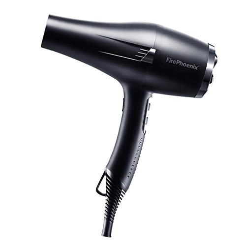 Hair Dryer Peluquería Alta Potencia Secado rápido Negativo Ion Secador de Pelo Inicio Mudo Peluquería Electrodomésticos 2000W Styling Expert