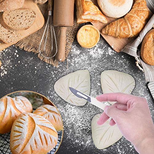 Hasharp Herramienta de Corte de Pan Panaderos, Bread Lame Cuchillo de Pan Panaderia Cocina Profesional para Masa Pan DIY con 10 Inoxidable Cuchilla Reemplazables (14 PCS)