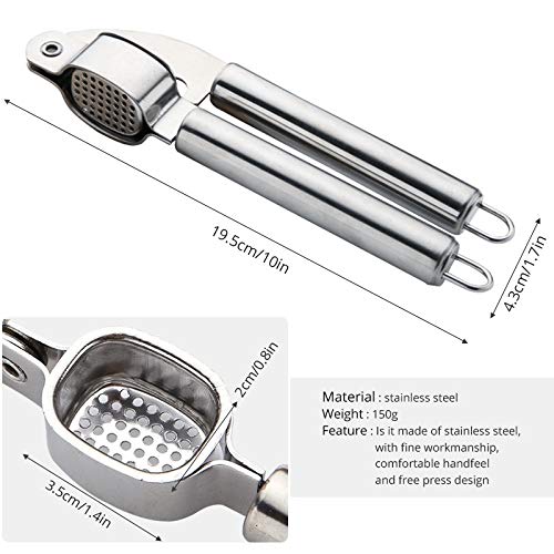 HCHD Prensas de ajo y Jengibre inoxidables, Picadora de ajo y Picadora de raíz de Jengibre, Construcción Robusta para trituradora de ajo
