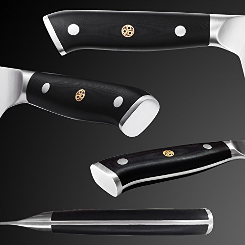 Hecef X50CrMoV15 - Cuchillo de cocina profesional (acero inoxidable, 8", mango de fibra de vidrio G10, DIN 1.4116)