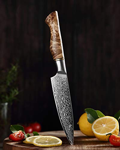 HEZHEN Cuchillo Universal de 12.5cm, hoja afilada, patrón de acero de Damasco, cuchillo de pelar multifuncional VG10,Cuchillo profesional para frutas, mango de madera ergonómico