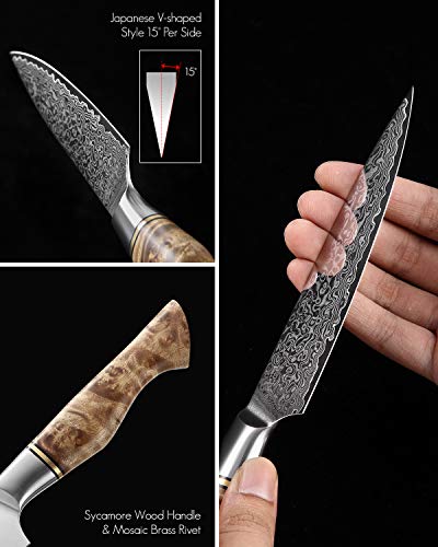 HEZHEN Cuchillo Universal de 12.5cm, hoja afilada, patrón de acero de Damasco, cuchillo de pelar multifuncional VG10,Cuchillo profesional para frutas, mango de madera ergonómico