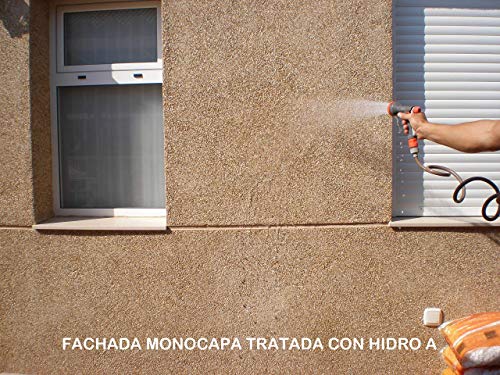 HIDRO A de Tecno Prodist - (1 Litro) Impermeabilizante Transparente al agua, Hidrofugante Incoloro para pered, tejado, fachada, muro, teja, ladrillo y piedra. (A Rodillo, brocha o pulverizador)