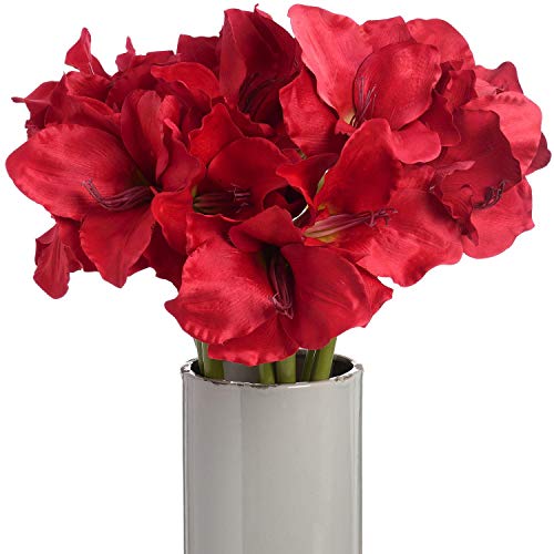 Hill Interiors - Amarilis Artificial Decorativa con Tallo (Talla Ãšnica) (Rojo)