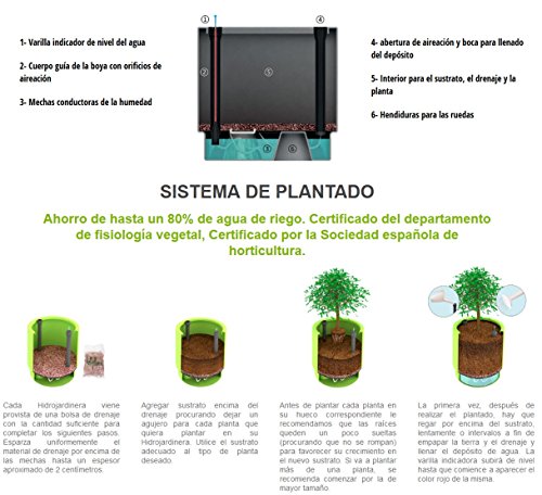 Hobby Flower Basic - Maceta Redonda con Sistema de Auto-riego, 35 x 35 cm, Color Antracita