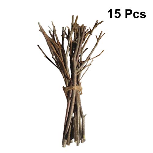 Holibanna ramas de abedul ramitas de abedul naturales centros de mesa artesanales decorativos palos de madera secos accesorios de fotos artísticas 15 cm