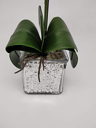 Home Decor 4 U Orquídea artificial, orquídea polilla, planta artificial, orquídea con maceta de cromo cubo, centro de flores artificiales, orquídeas falsas, plantas falsas, flores artificiales