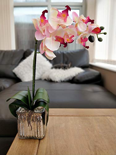 Home Decor 4 U Orquídea artificial, orquídea polilla, planta artificial, orquídea con maceta de cromo cubo, centro de flores artificiales, orquídeas falsas, plantas falsas, flores artificiales