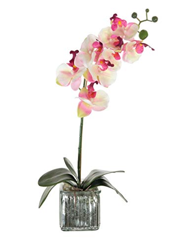 Home Decor 4 U Orquídea artificial, orquídea polilla, planta artificial, orquídea con maceta de cromo cubo, centro de flores artificiales, orquídeas falsas, plantas falsas, flores artificiales