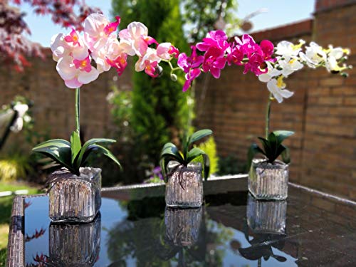 Home Decor 4 U Orquídea artificial, orquídea polilla, planta artificial, orquídea con maceta de cromo cubo, centro de flores artificiales, orquídeas falsas, plantas falsas, flores artificiales