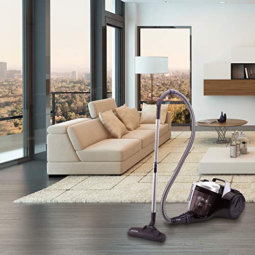 Hoover Breeze BR30PET - Aspirador sin bolsa, Aspirador ciclónico, Cepillo especial para pelo de mascota, Cepillo parquet, Filtro EPA, 550W, Depósito 2L, 78dBA, Potencia fija, Cable 8m, Color gris