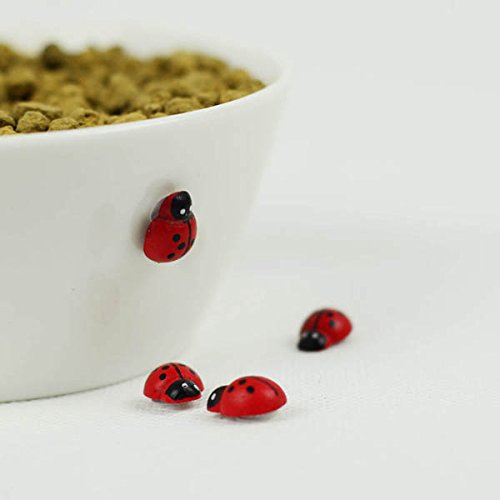 https://www.banggood.com/20pcs-Micro-Landscape-Wooden-Red-Ladybug-Garden-DIY-Decor-p-978448.html 20pcs Micro Paisaje Madera Rojo Ladybug Jardín DIY Decor