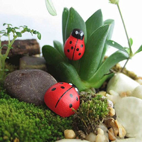 https://www.banggood.com/20pcs-Micro-Landscape-Wooden-Red-Ladybug-Garden-DIY-Decor-p-978448.html 20pcs Micro Paisaje Madera Rojo Ladybug Jardín DIY Decor