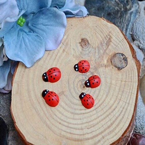 https://www.banggood.com/20pcs-Micro-Landscape-Wooden-Red-Ladybug-Garden-DIY-Decor-p-978448.html 20pcs Micro Paisaje Madera Rojo Ladybug Jardín DIY Decor