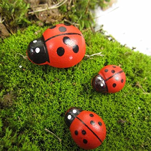 https://www.banggood.com/20pcs-Micro-Landscape-Wooden-Red-Ladybug-Garden-DIY-Decor-p-978448.html 20pcs Micro Paisaje Madera Rojo Ladybug Jardín DIY Decor