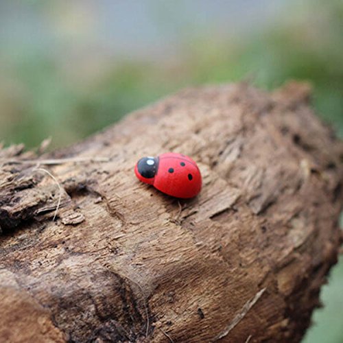 https://www.banggood.com/20pcs-Micro-Landscape-Wooden-Red-Ladybug-Garden-DIY-Decor-p-978448.html 20pcs Micro Paisaje Madera Rojo Ladybug Jardín DIY Decor