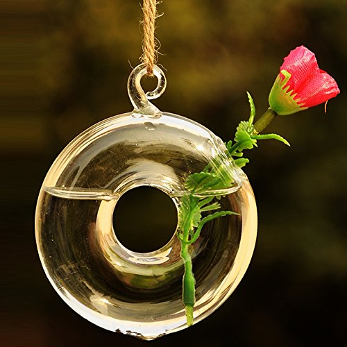 https://www.banggood.com/Round-Hanging-Flower-Hydroponic-Plants-Glass Vase-Home-Decor-p-982338.HTML Jarrón de Cristal para Colgar con Flores hidropónicas