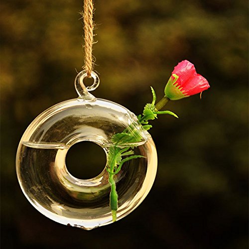 https://www.banggood.com/Round-Hanging-Flower-Hydroponic-Plants-Glass Vase-Home-Decor-p-982338.HTML Jarrón de Cristal para Colgar con Flores hidropónicas