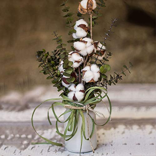 HUAESIN 3pcs Tallo de Flores Secas Naturales Blancas Rama Flor Seca Algodon Artificiales con 7 Cabezas Bouquet Flores Secas Decoracion para Boda Jarron Hogar Fiesta Navidad Invierno Mesa Interior