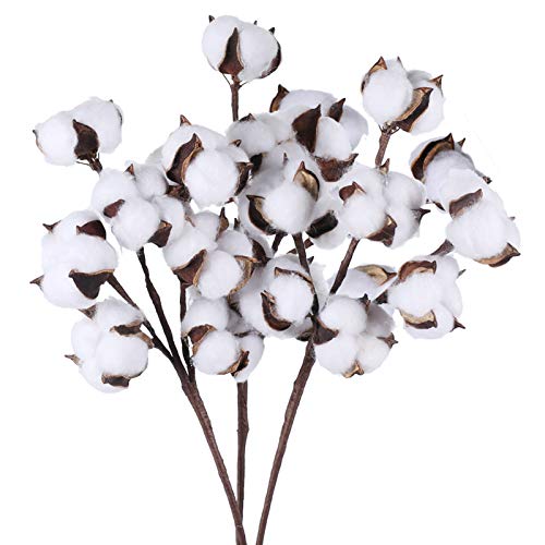 HUAESIN 3pcs Tallo de Flores Secas Naturales Blancas Rama Flor Seca Algodon Artificiales con 7 Cabezas Bouquet Flores Secas Decoracion para Boda Jarron Hogar Fiesta Navidad Invierno Mesa Interior