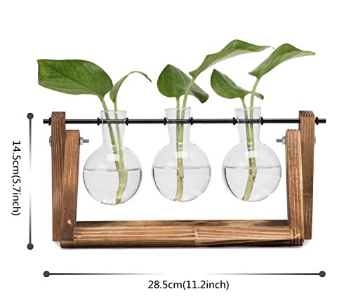 Hyindoor Florero de Vidrio para Planta Hidropónica Florero de Bulbos de 3 Jarrones de Bombilla Cristal con Soporte de Madera de Escritorio