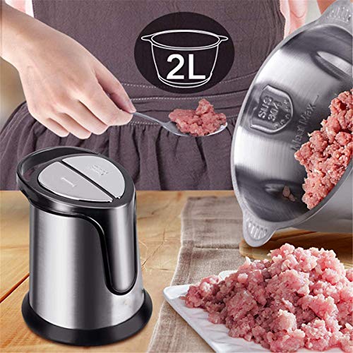 HYLL Picadora de Carne eléctrica, Alimentos Lobo 500W Molienda Grinder con 2 Cuchillos de Acero Inoxidable (Serie 304) y la Herramienta de la Cocina de casa de 2 litros de envases de Vidrio pa.