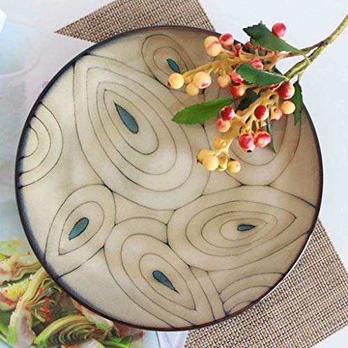HYLR 8.26in vajilla Japonesa de cerámica de la Placa Occidental para los tallarines de la Ensalada de Fruta del Postre de la Cocina del Restaurante Fruit Bowl Bowl Containers Cereal Salad Dishes