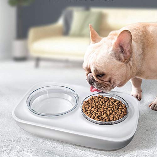 HYZXK Para Alimentador Del Gato Del Perro Cuenco Cuenco Recipientes De Comida Doble Slip Alimento De Animal Doméstico Del Suministro De Agua Y De La Empresa,Gris