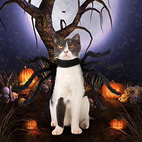 Idepet Pet Clothes Disfraz de calabaza de Halloween, chaqueta polar para perros, gatos, cachorros, disfraces de fiesta, Halloween, Navidad, festival de Pascua, actividades