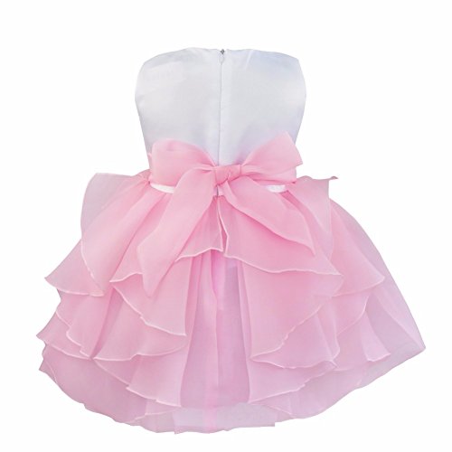 IEFIEL Vestido de Bautizo Princesa para Bebé Niña Recién Nacido (3-24 Meses) Vestido de Fiesta Flor Organza Rosa 3 años