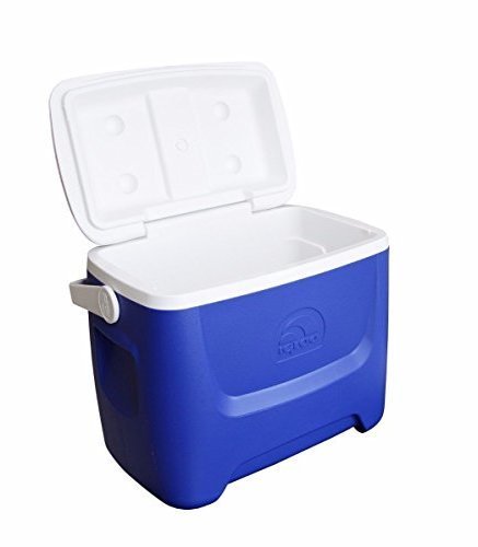 Igloo 44558 portátil Mini Nevera, Azul, 46x28x40