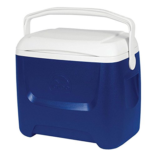 Igloo 44558 portátil Mini Nevera, Azul, 46x28x40