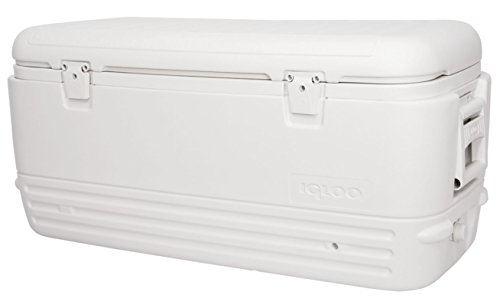 Igloo Polar 120 Nevera, 114 litros, Blanco