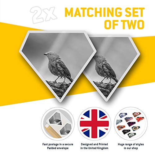 Impresionante pegatinas de diamante de 7,5 cm BW – Breasted Cordon Bleu Bird Fun calcomanías para portátiles, tabletas, equipaje, reserva de chatarra, frigorífico, regalo genial #35144