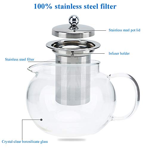 Intirilife Tetera con Filtro 650 ml en Claro - Jarra de Vidrio de Resistente borosilicato con tamiz Infusor al Calor para Bebidas frías y Calientes - Café, té Helado, Agua, etc.