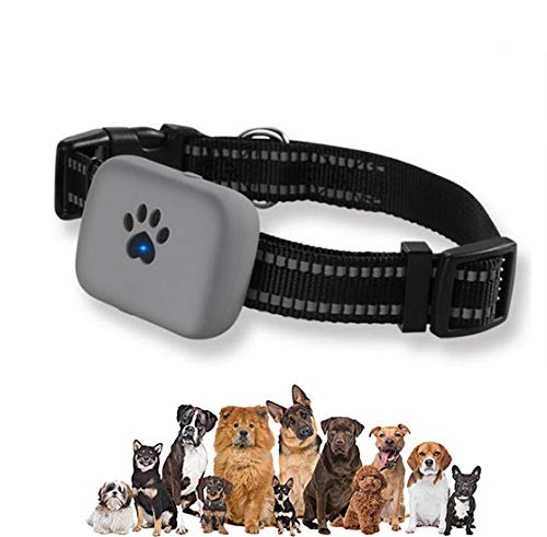 IOPJKL Dog Tracker/Cat Tracker, GPS Pet Locator, Real-Time Monitoring Equipment, Ondersteuning Voice Monitoring En Sos, Geschikt Voor Kleine En Middelgrote Honden