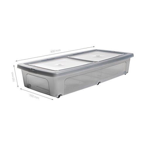 Iris Ohyama Modular Clear Box - Lote de 2 cajas de almacenamiento con tapa,plástico, Capacidad 35 L, Medidas externas de cada caja 80 x 40 x 16 cm, Gris