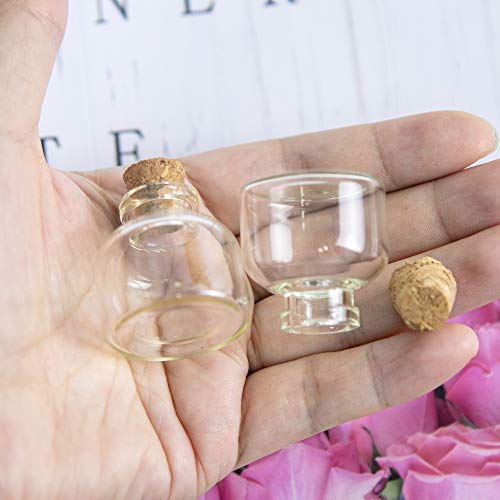 Jarvials - Lote de 12 Botellas de Cristal de Tubo de ensayo Transparente con tapón de Corcho, Capacidad de Almacenamiento de 4 ml a 110 ml, es Solo uno de 9 Modelos Diferentes, Transparente, 10ml